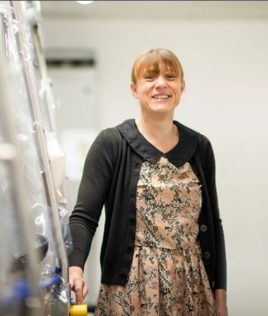 Gem ingénieur Dyson